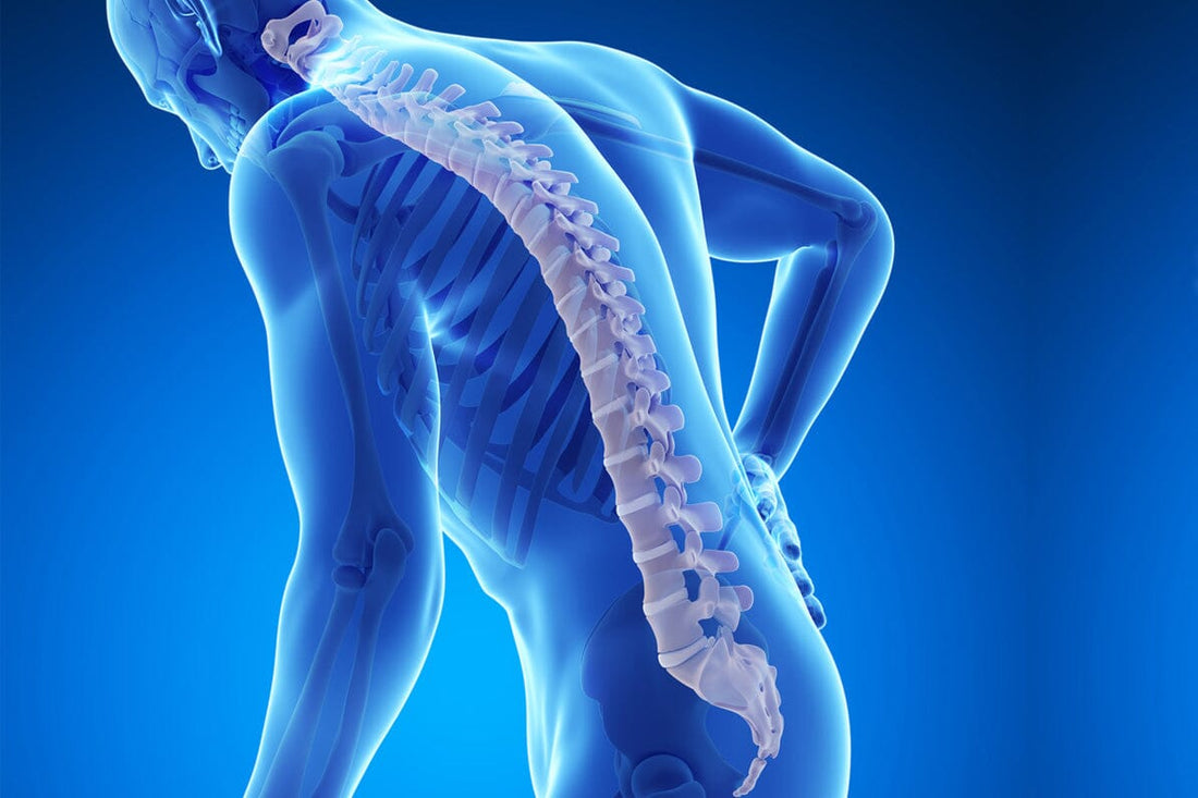 Osteoporosis y Suplementación
